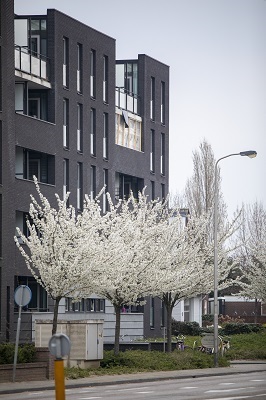 Gebouw Roy