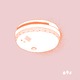 40_FRANS_ILLUSTRATIES_rookmelder